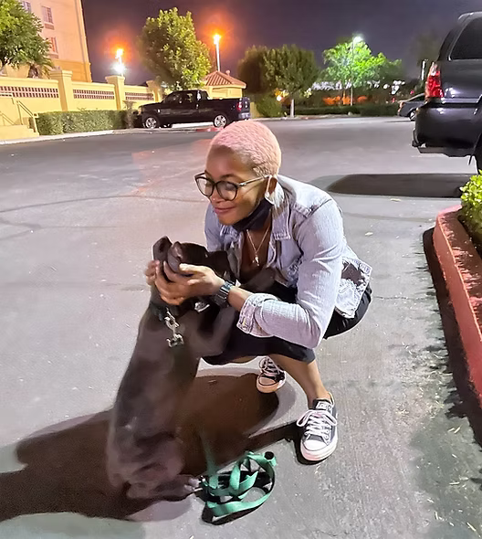 DiCalabrese Cane Corso gallery