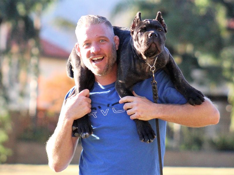 Christopher Calabrese smiling with a black DiCalabrese Cane Corso puppy on his shoulders
